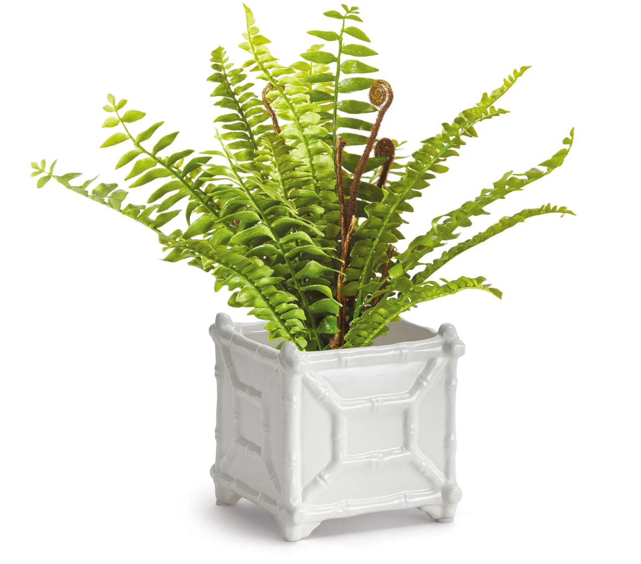 Chinoiserie Cache Pot