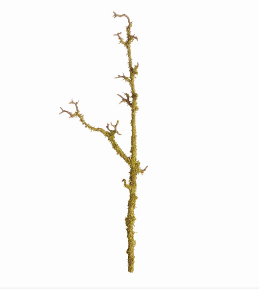Lichen Branches 28"