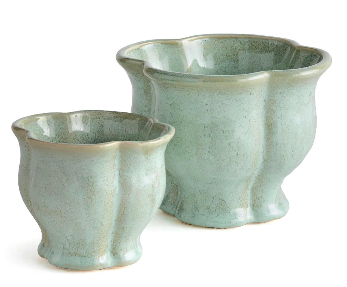 Green Morena Pot