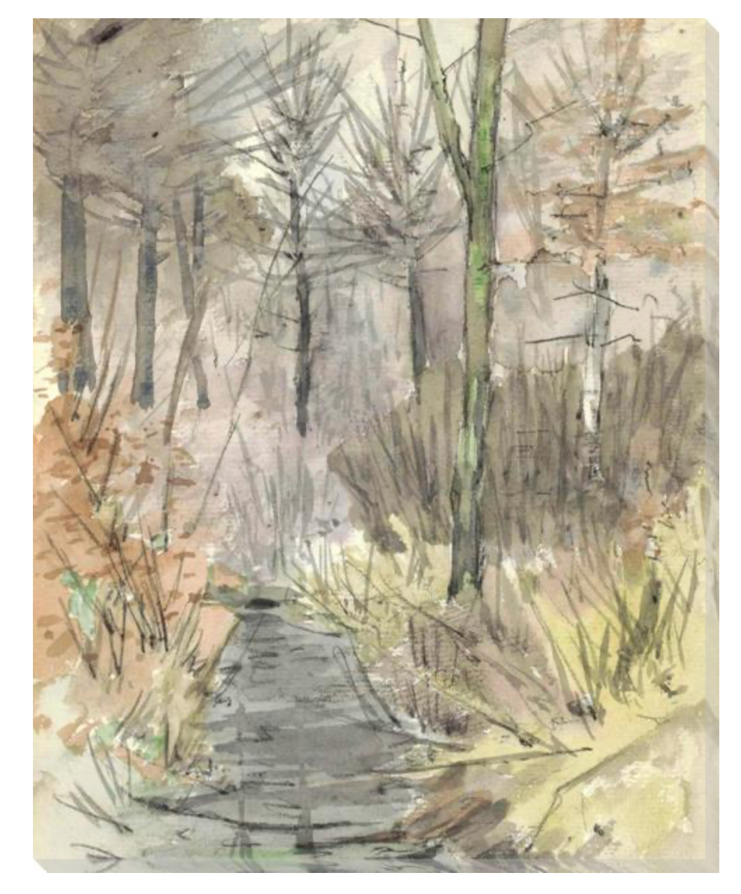 Dutch Landscape