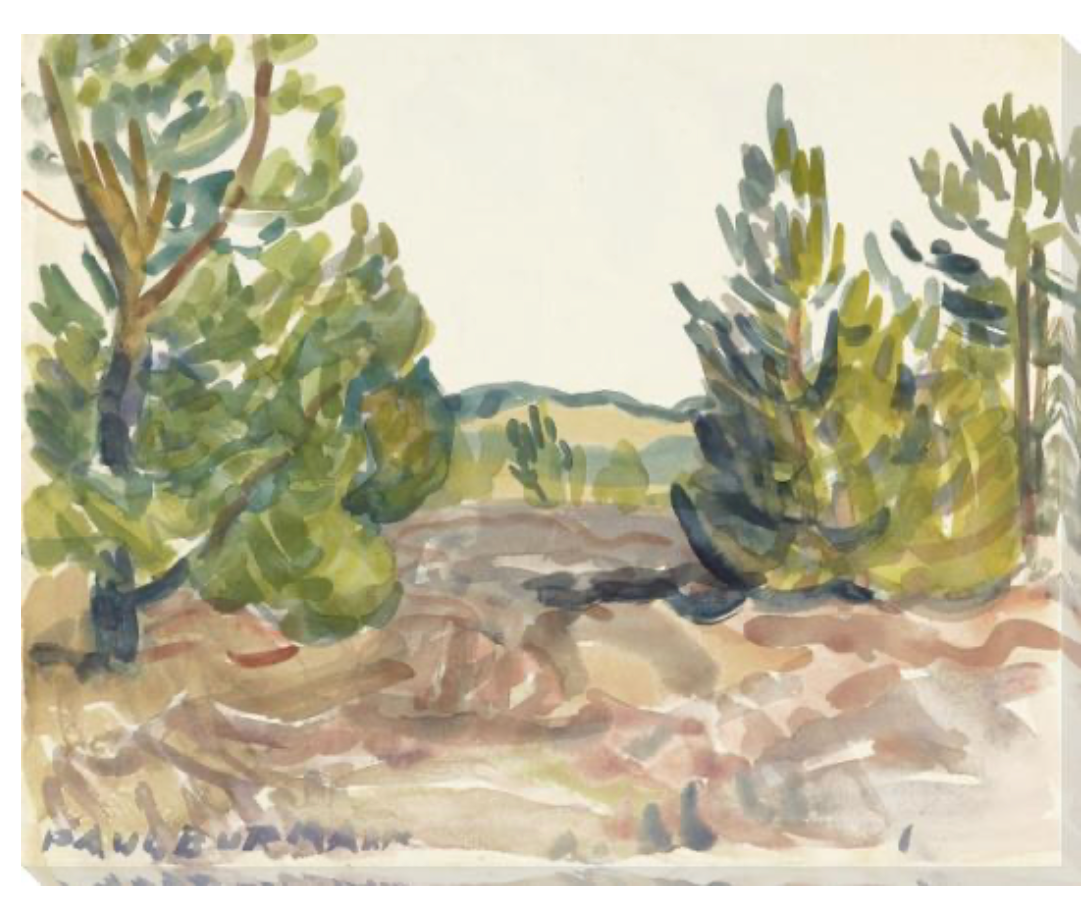 Landscape Sketch