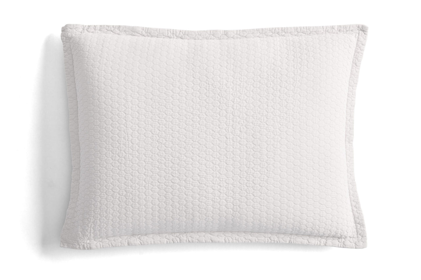 Tracey Euro-White