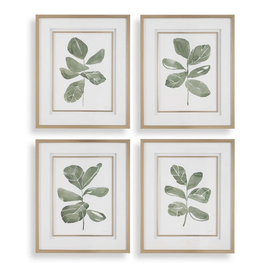 Fiddle Head Leaf Framed Print