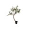 18"L Faux Olive Tree in Plastic Pot