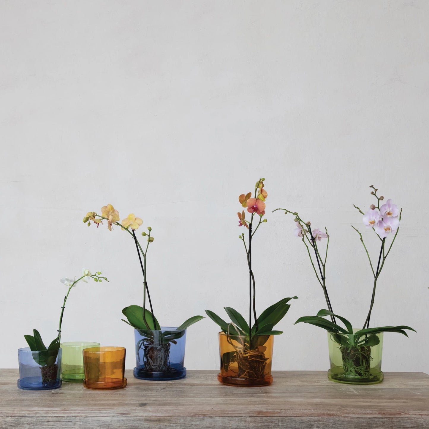 Recycled Glass Planters w Saucer