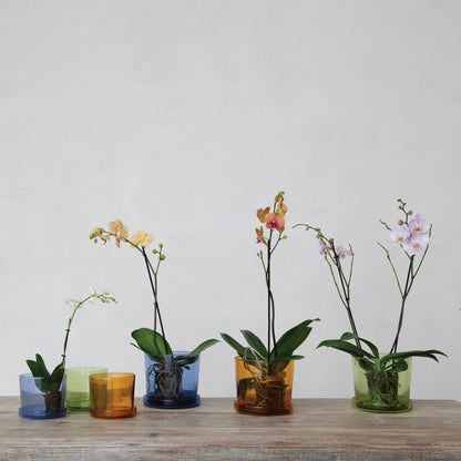 Recycled Glass Planters w Saucer