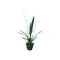 Faux Orchid with Moss