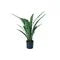 Faux Bird Nest fern Plant in Plastic Pot