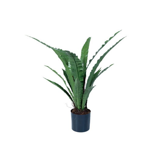 Faux Bird Nest fern Plant in Plastic Pot