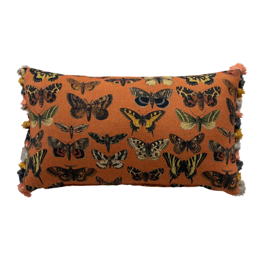 Monarch Melon Feather 54x18