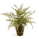 Soft Fern Drop-In 13"